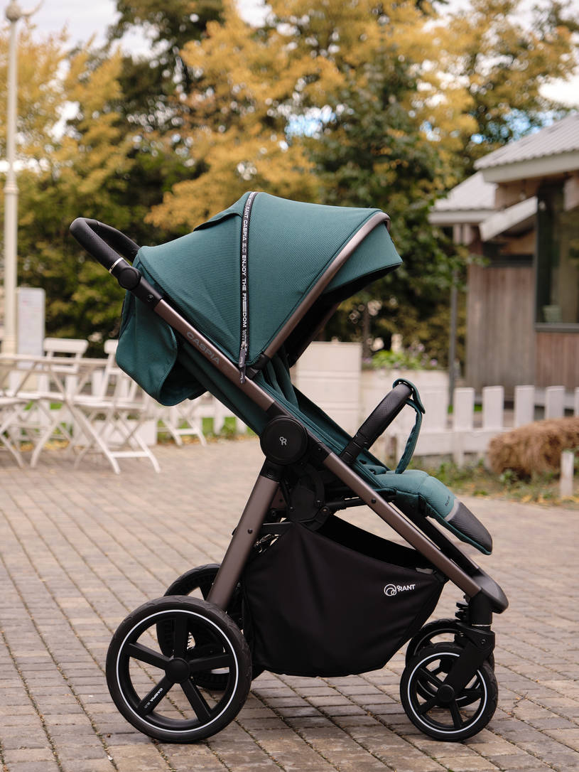 Коляска прогулочная Rant Caspia 2.0 Green