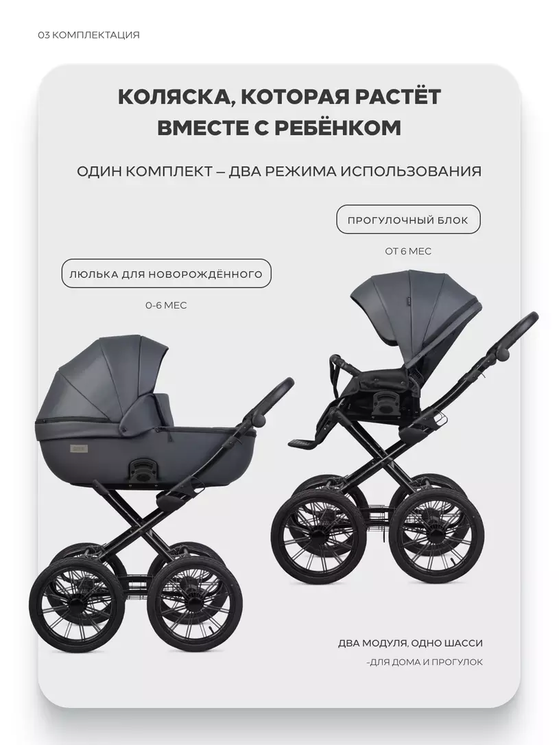 Коляска 2 в 1 Riko Basic Montana X Ecco Prestige 24 Graphite