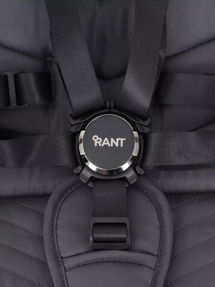 Коляска 2 в 1 RANT FLEX PRO 2023 RA074 PINK