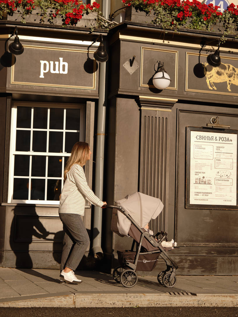 Коляска прогулочная Rant Vega Star Soft Grey. Цвет: Серый