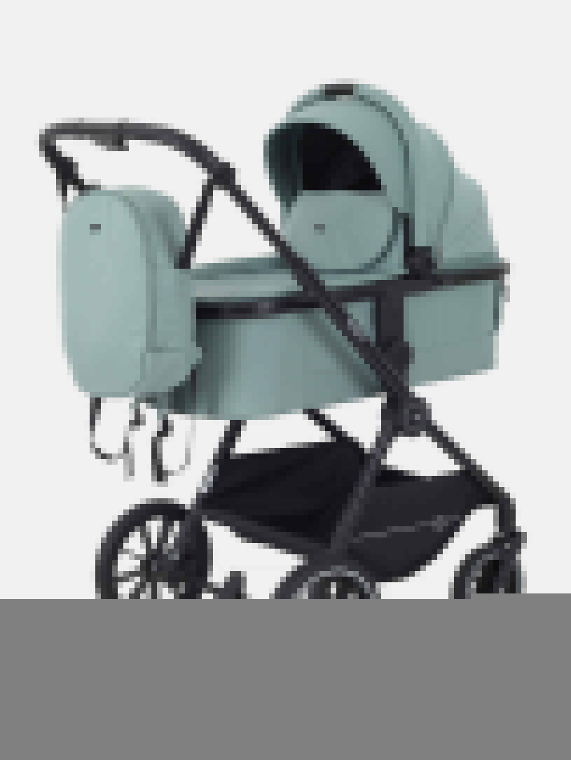 Коляска 2 в 1 Rant Moss Classic grey