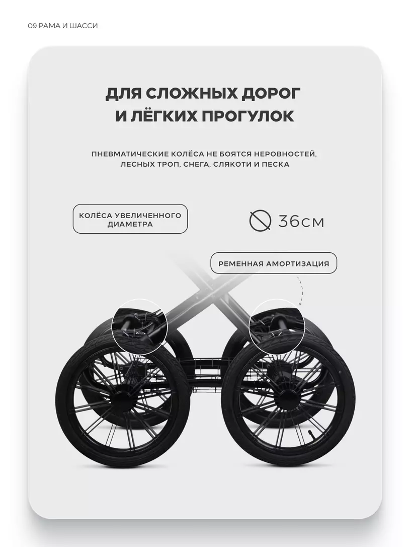 Коляска 2 в 1 Riko Basic Montana X Ecco Prestige 24 Graphite