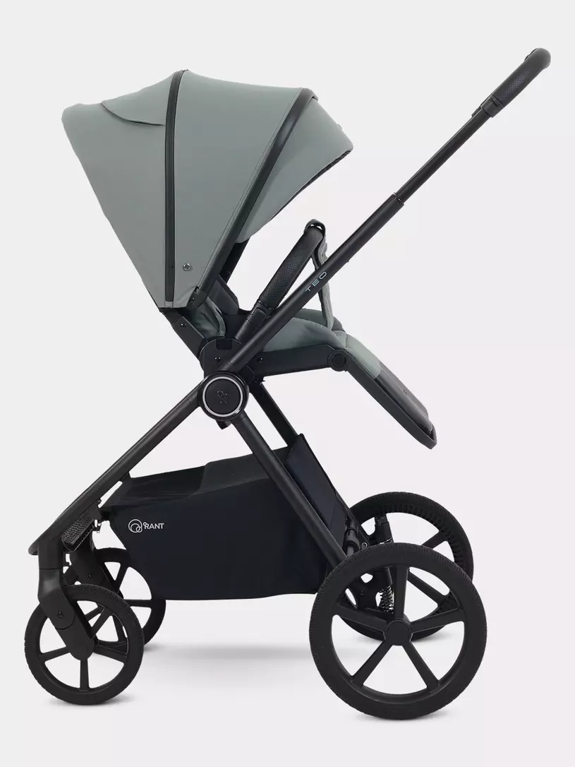 Коляска 2 в 1 Rant Teo Soft Olive