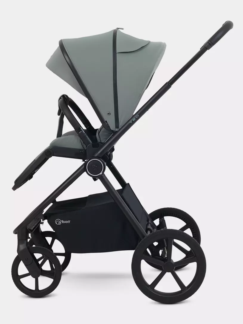 Коляска 2 в 1 Rant Teo Soft Olive