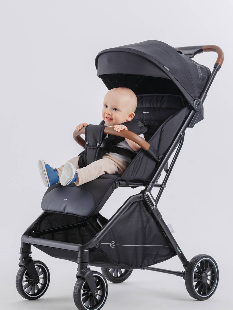 Коляска прогулочная Rant Basic Joy Black