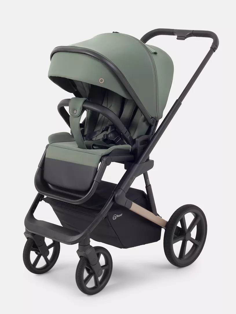 Коляска 2 в 1 Rant Garda Olive
