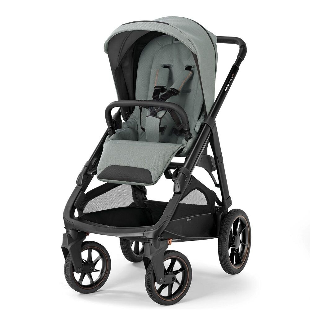 Прогулочная коляска Inglesina Aptica XT New, Igloo Grey