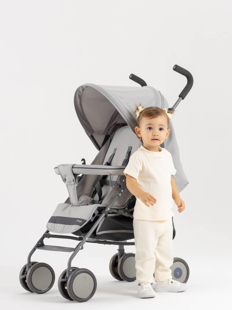 Коляска прогулочная Rant Basic Tango Silver Grey