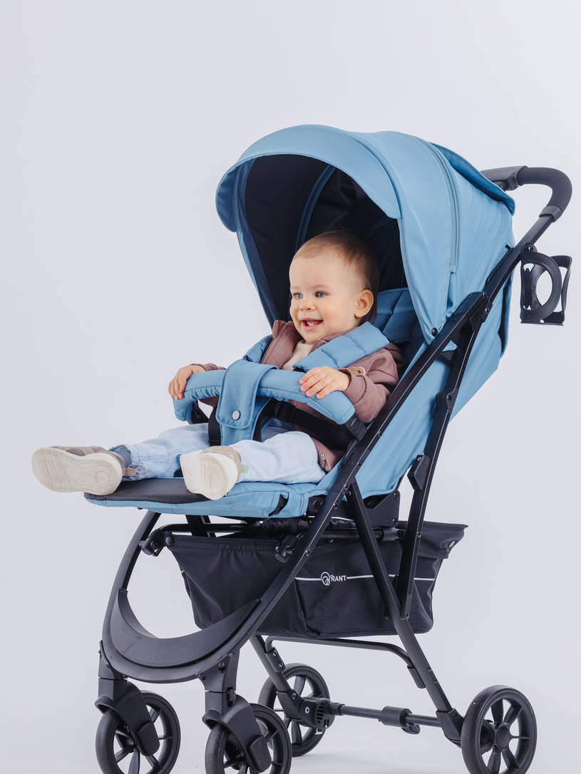 Коляска прогулочная Rant Largo 2024 Arctic blue