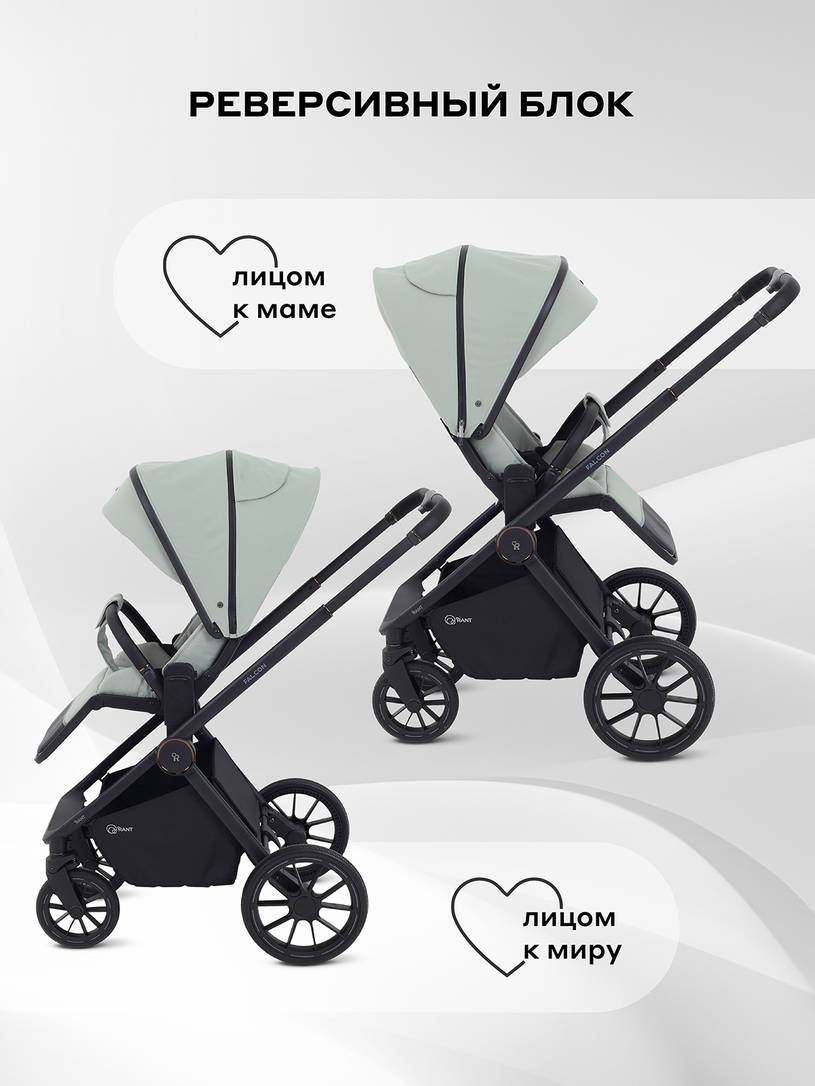 Коляска 2 в 1 Rant Falcon Neo Sage