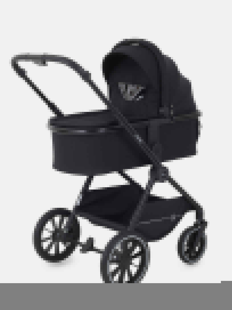 Коляска 2 в 1 Rant Moss Latte beige