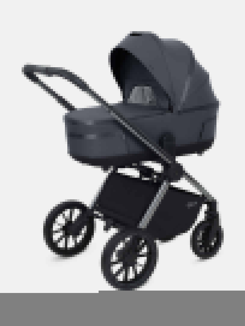 Коляска 2 в 1 Rant Falcon Therm Graphite