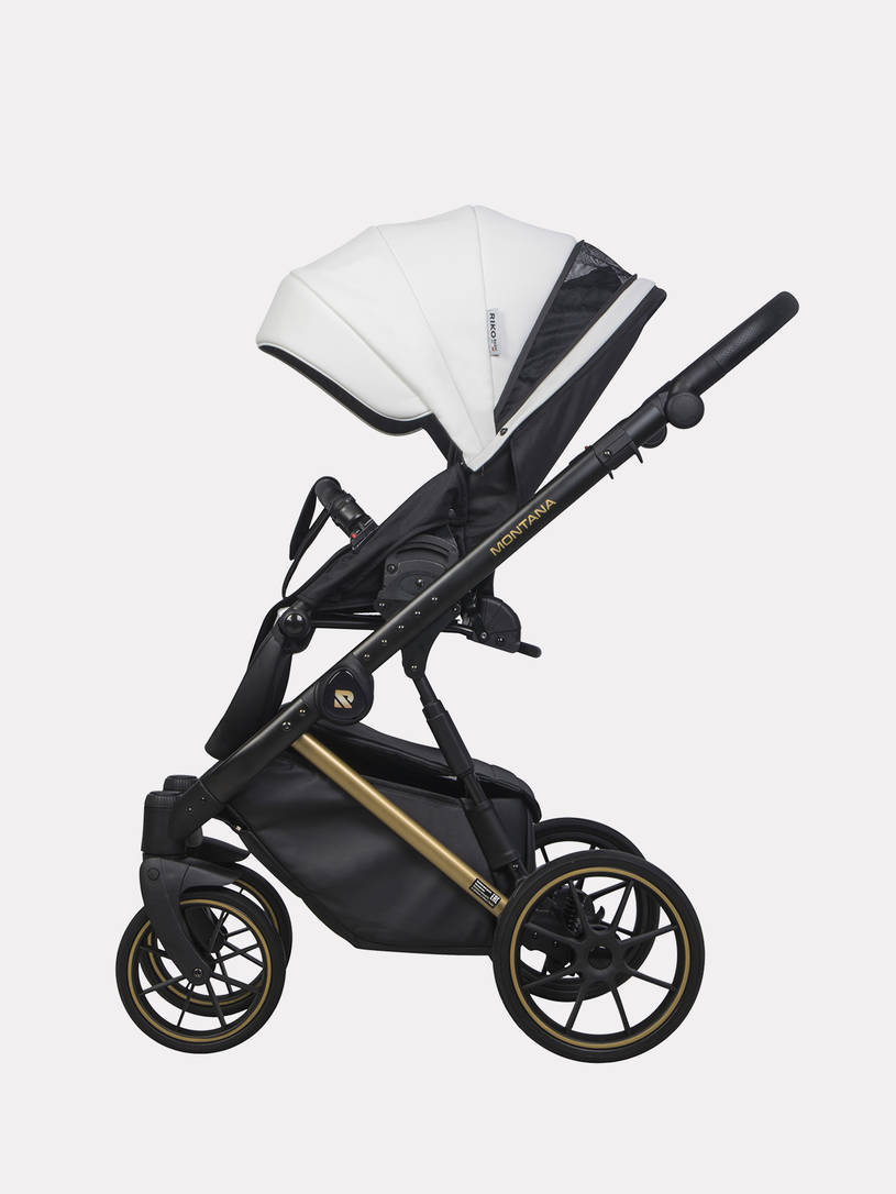 Коляска 2 в 1 Riko Basic Montana Premium Gold 01