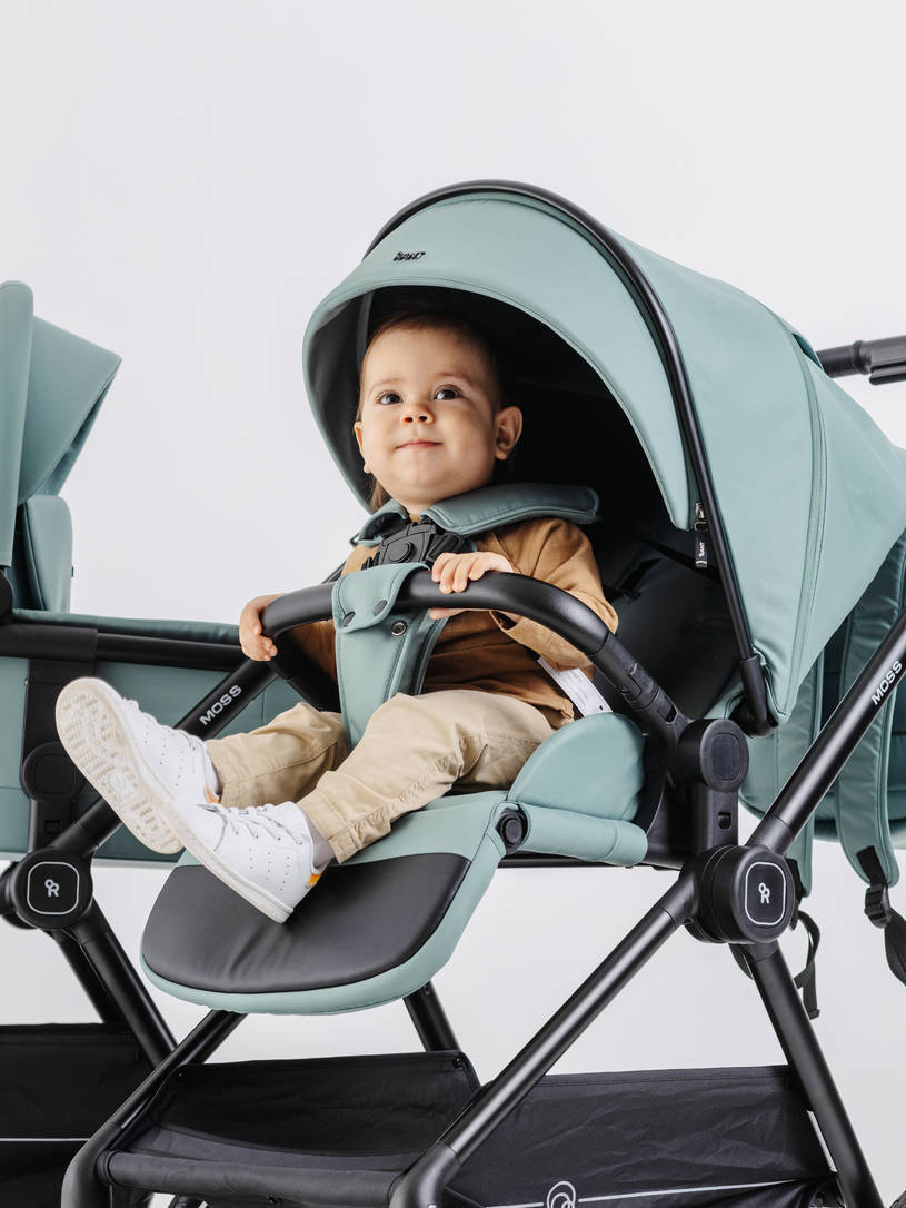 Коляска 2 в 1 Rant Moss Classic grey