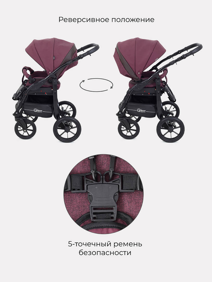 Коляска 3 в 1 Rant Patio Purple