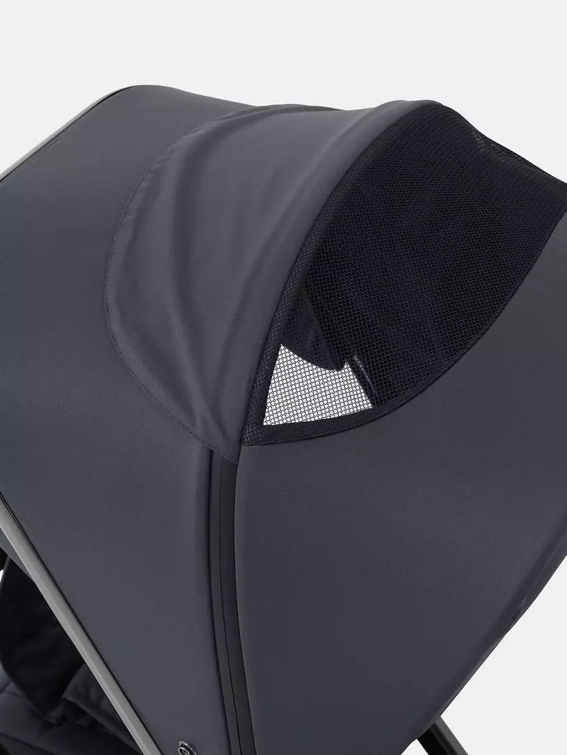 Коляска 2 в 1 Rant Teo Black Chrome Graphite