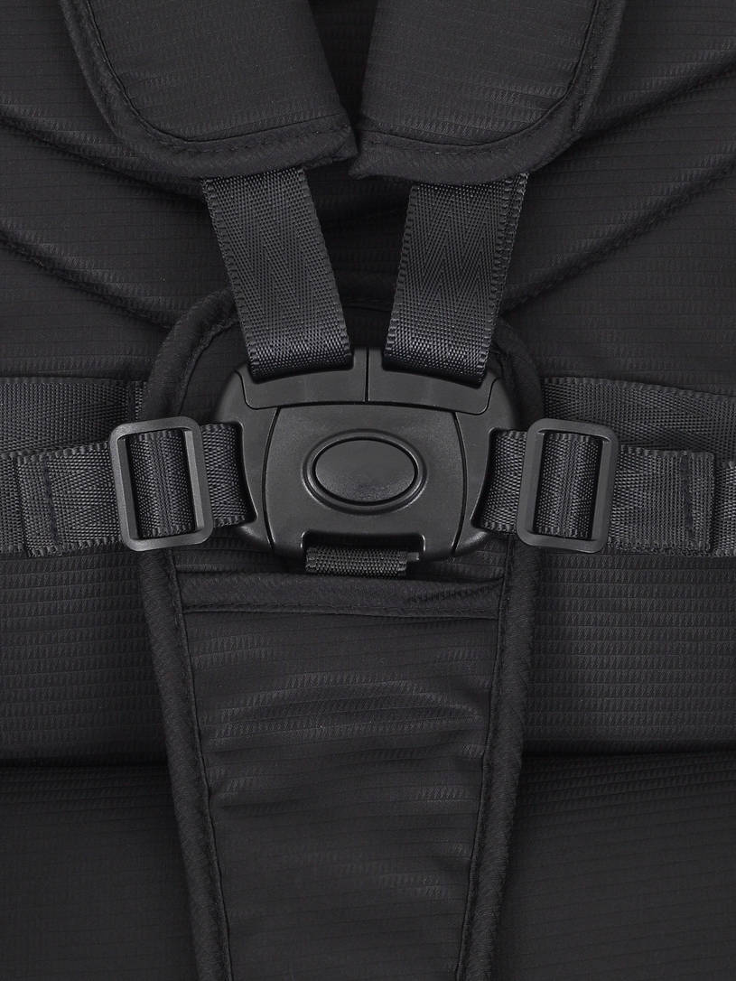 Коляска 2 в 1 Rant Moss 2025 Black