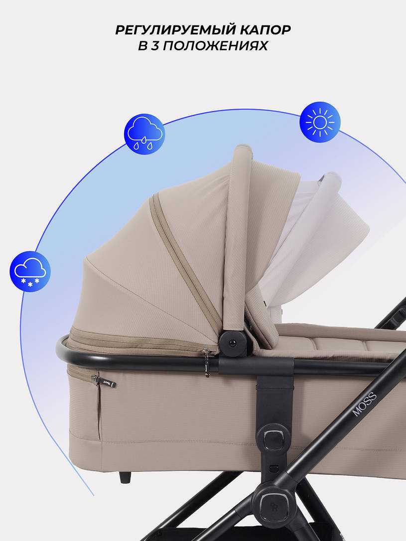 Коляска 2 в 1 Rant Moss 2025 Coffee