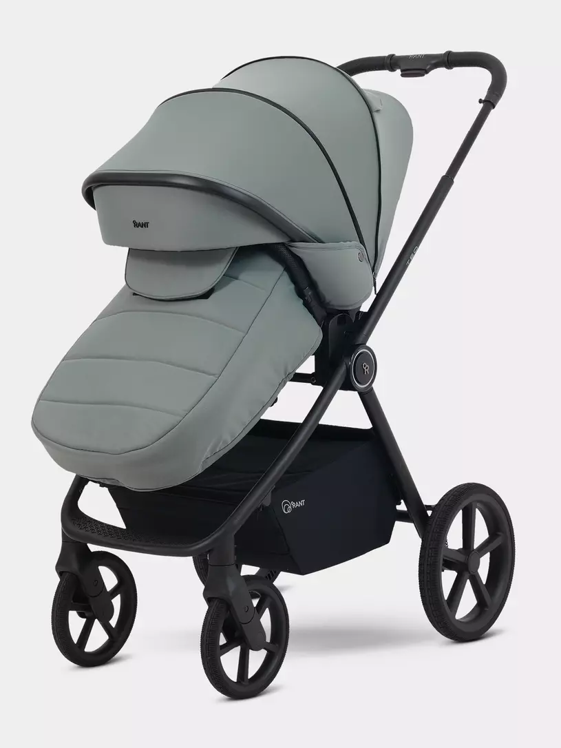 Коляска 2 в 1 Rant Teo Soft Olive