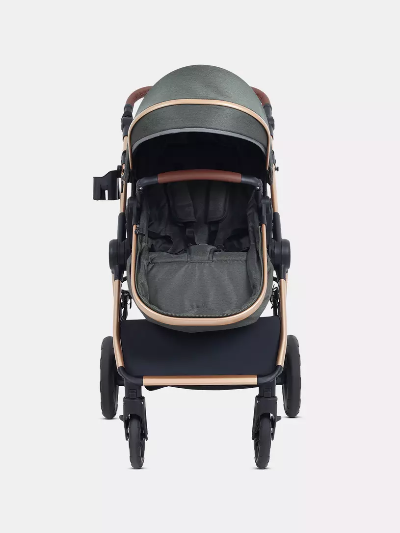 Коляска-трансформер Rant Basic Roller Gold 2024 Olive
