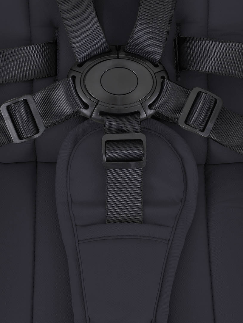 Коляска 2 в 1 Rant Teo Black