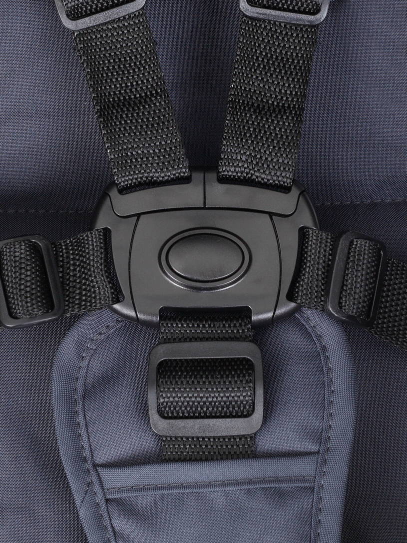 Коляска прогулочная Rant Basic Alpine Eva Graphite