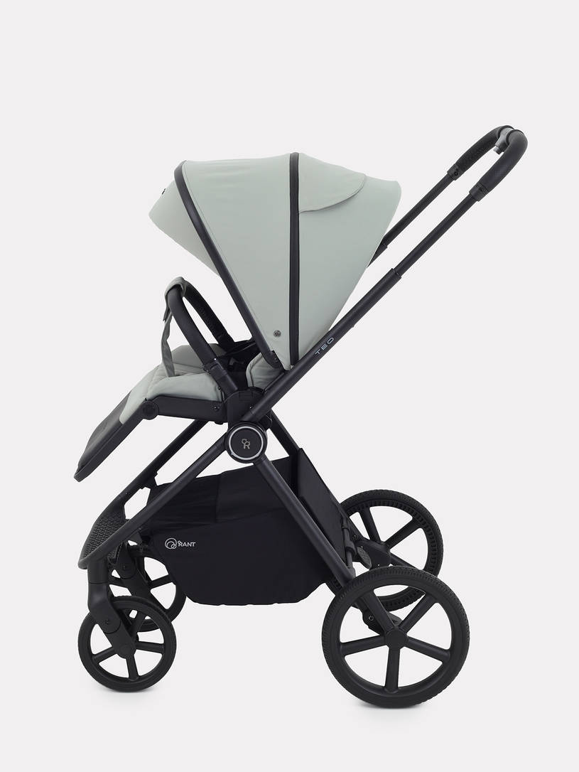 Коляска 2 в 1 Rant Teo Sage