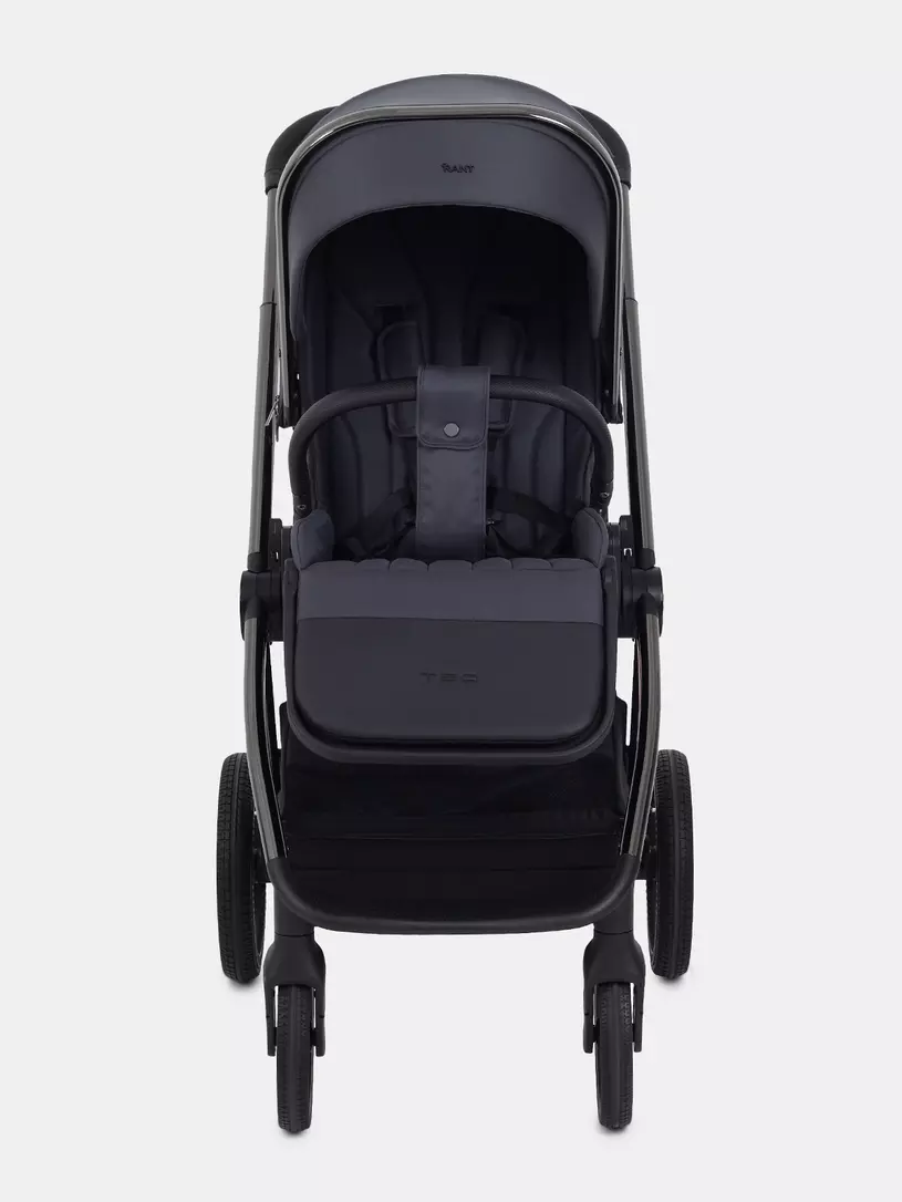 Коляска 2 в 1 Rant Teo Black Chrome Graphite