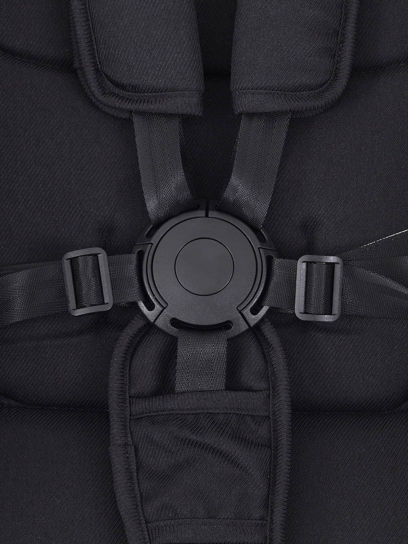 Коляска 2 в 1 Rant Vector Black