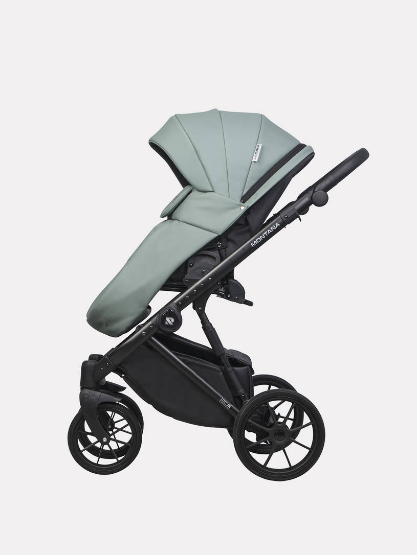 Коляска 2 в 1 Riko Basic Montana Ecco 21 Green