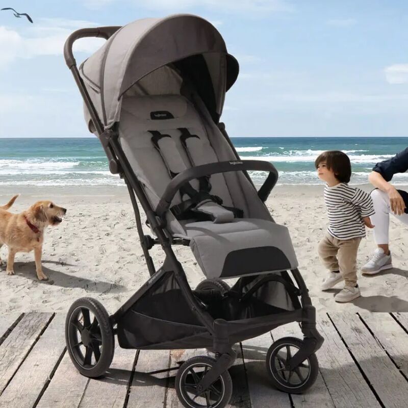 Прогулочная коляска Inglesina Maior , Horizon Grey