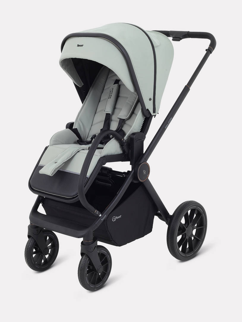 Коляска 2 в 1 Rant Falcon Neo Sage