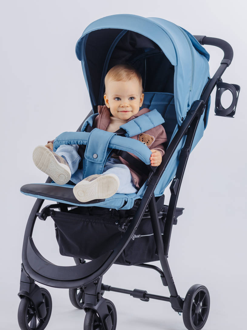 Коляска прогулочная Rant Largo 2024 Arctic blue