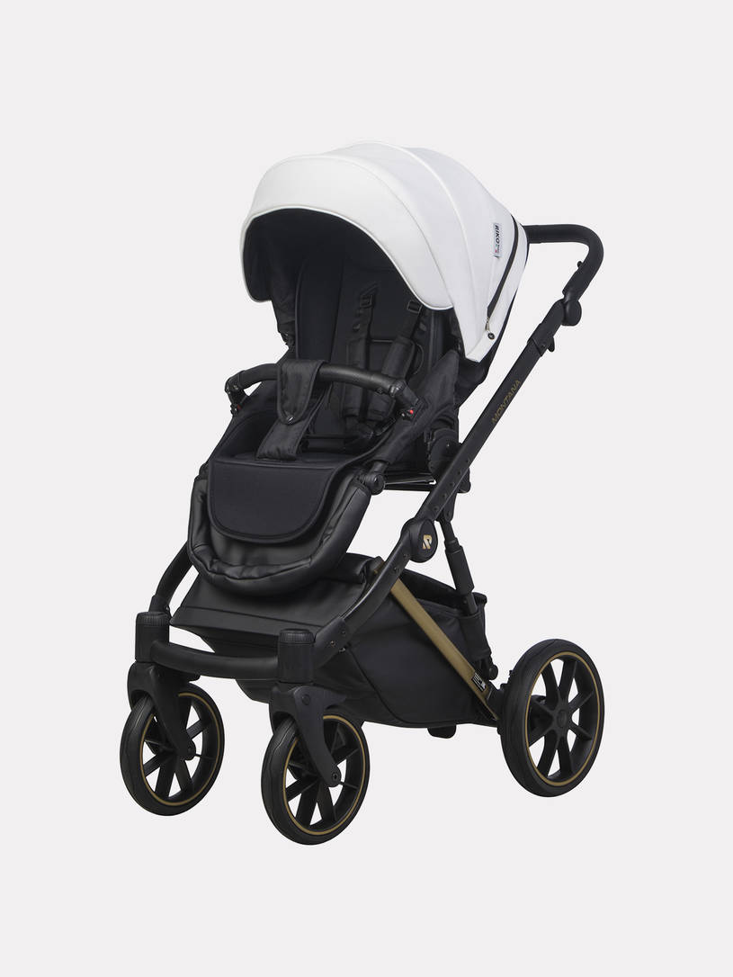 Коляска 2 в 1 Riko Basic Montana Premium Gold 01