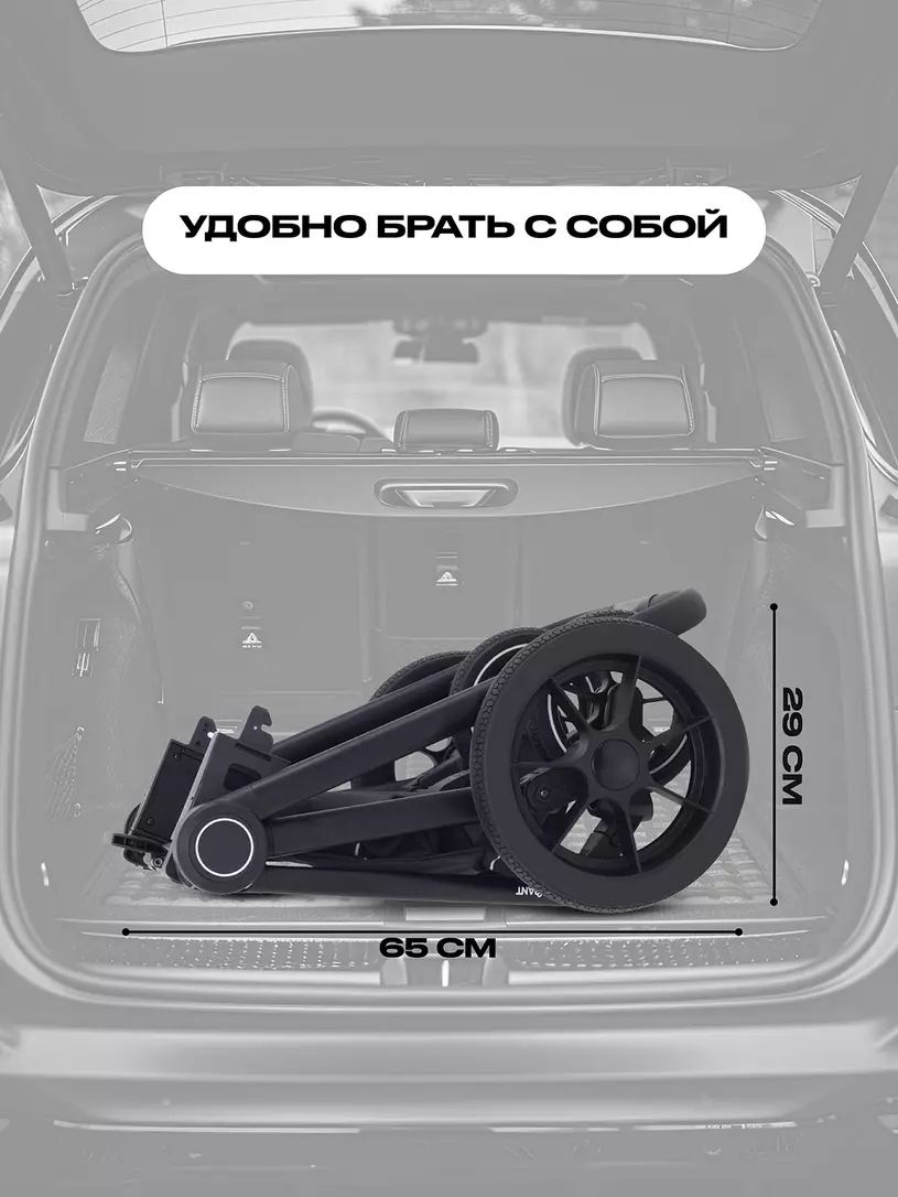 Коляска 2 в 1 Rant Flex 2025 RA076 Black