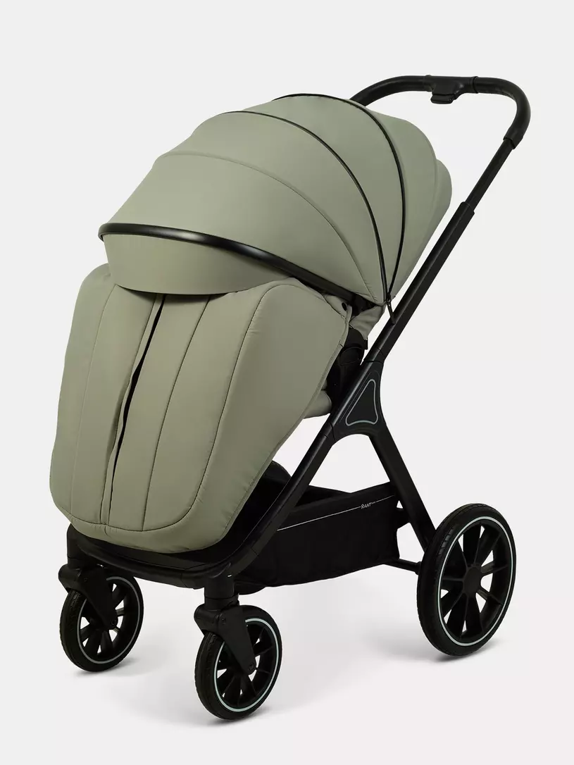 Коляска 2 в 1 Rant Basic Terra Olive