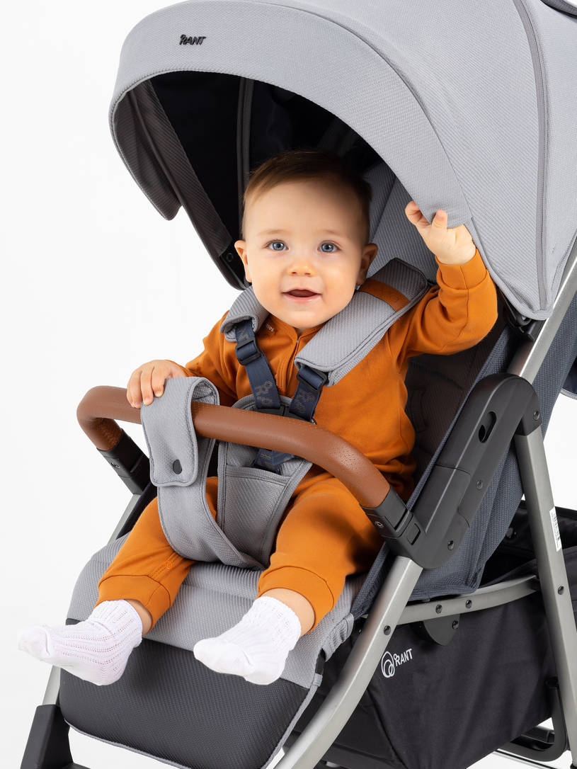 Коляска прогулочная Rant Vega 2023 Grey