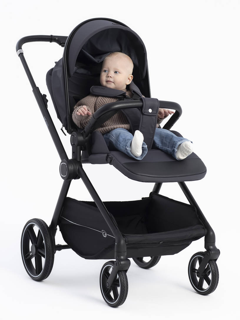 Коляска прогулочная Rant Moss 2025 Graphite