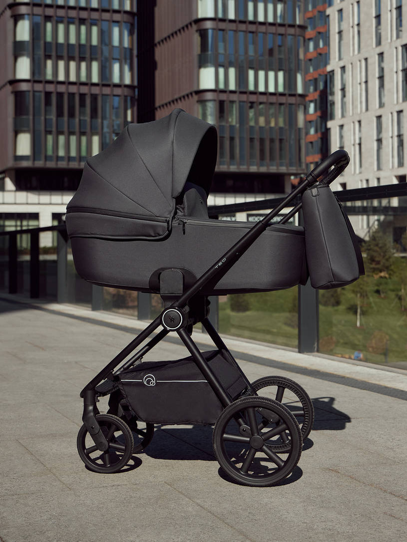 Коляска 2 в 1 Rant Teo Black