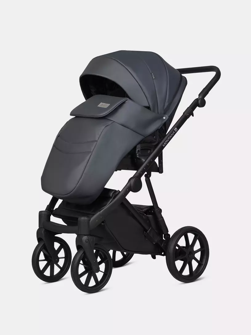 Коляска 2 в 1 Riko Basic Montana X Ecco 24 Graphite