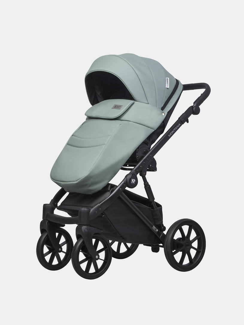 Коляска 2 в 1 Riko Basic Montana Ecco 21 Green