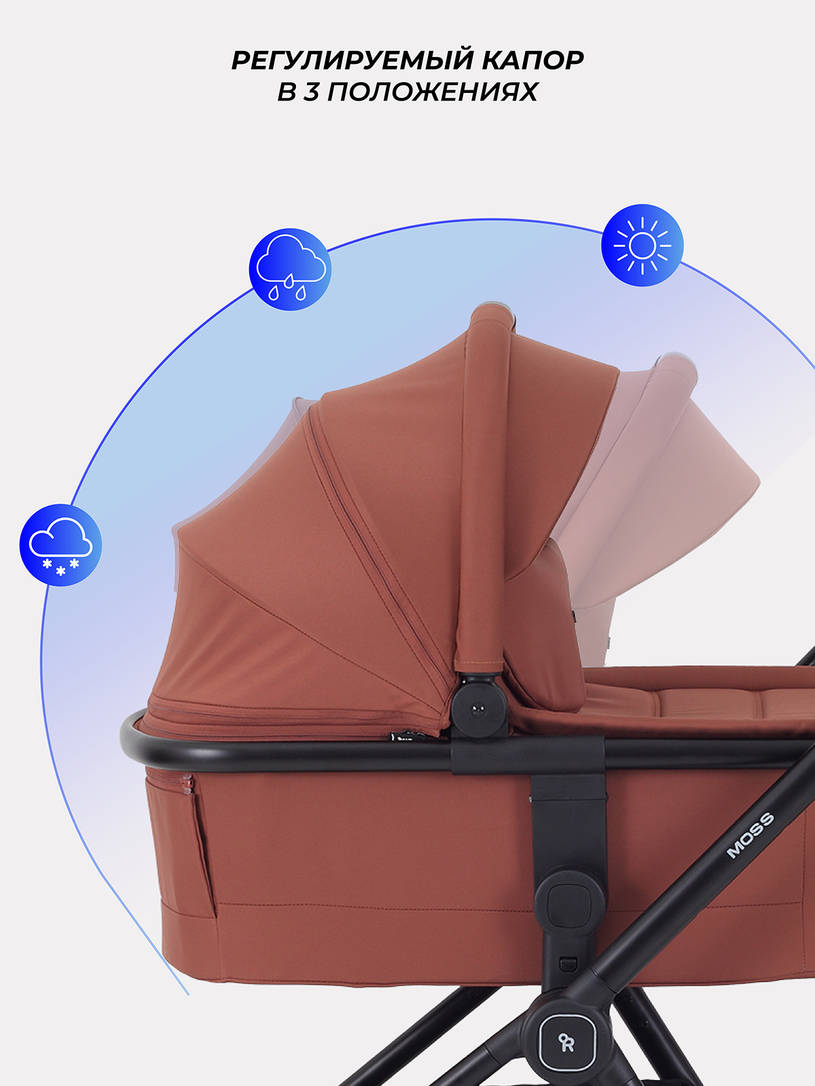 Коляска 2 в 1 Rant Moss Maroon brown