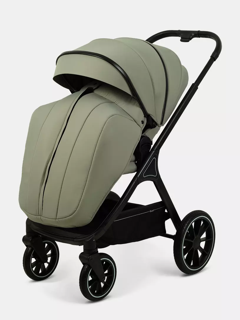 Коляска 2 в 1 Rant Basic Terra Olive