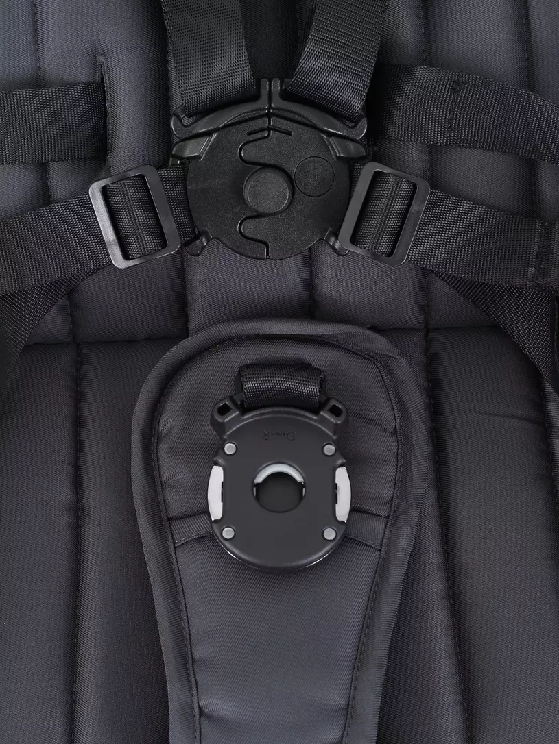 Коляска 2 в 1 Rant Teo Black Chrome Graphite