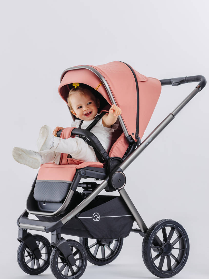 КОЛЯСКА 2 В 1 RANT FALCON PINK