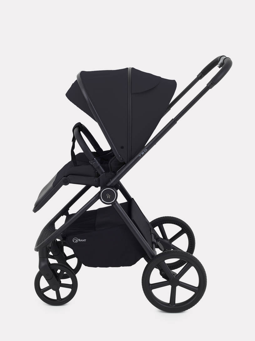 Коляска 2 в 1 Rant Teo Black