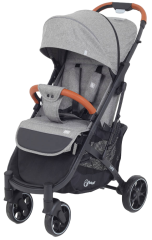 Коляска прогулочная RANT LIFE RA103 Mineral Silver