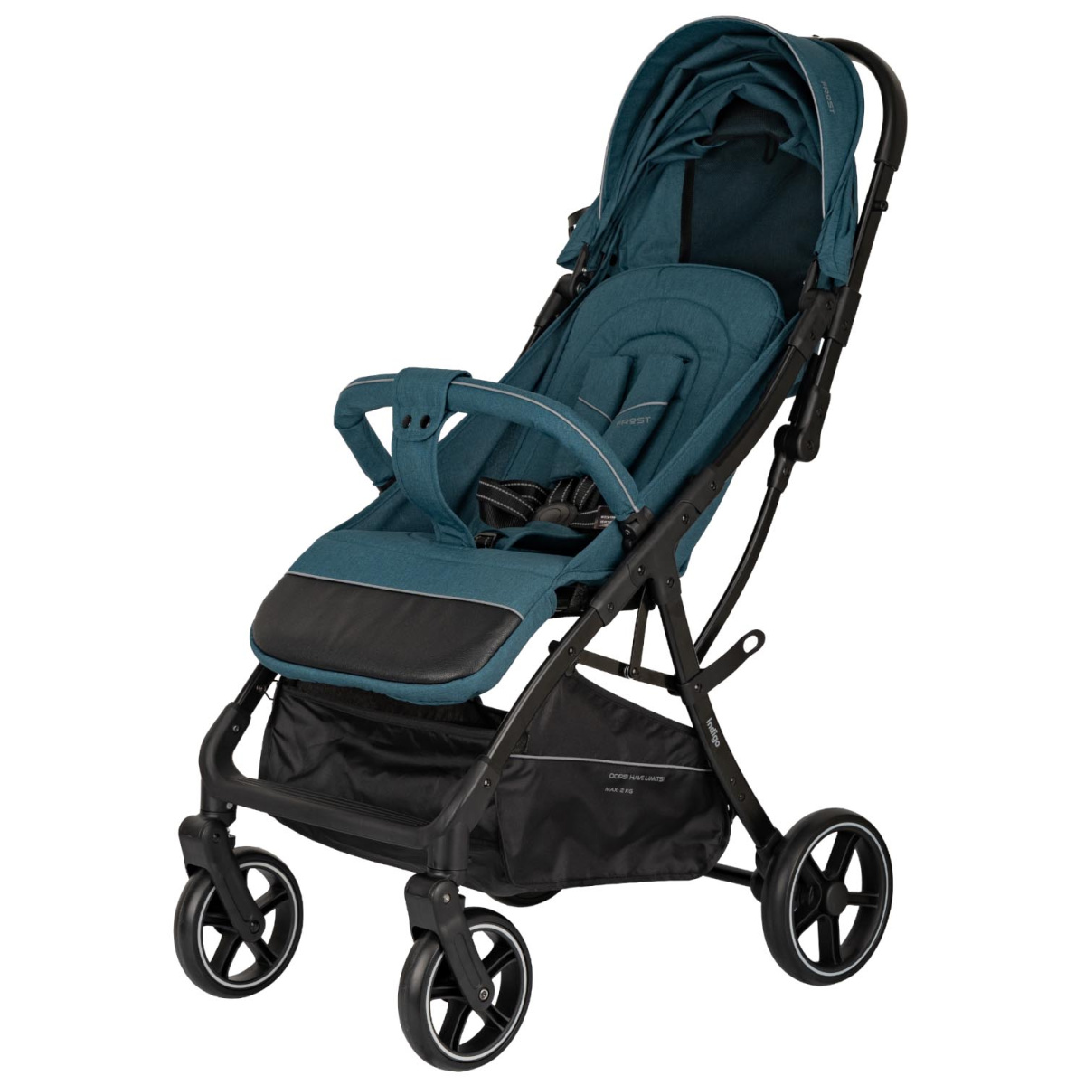 Коляска прогулочная Indigo FROST синий