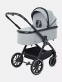 Коляска 2 в 1 Rant Basic Terra Grey