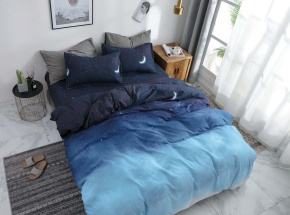 КПБ Dream Fly Евро 2 наволочки DF03-331 код1069